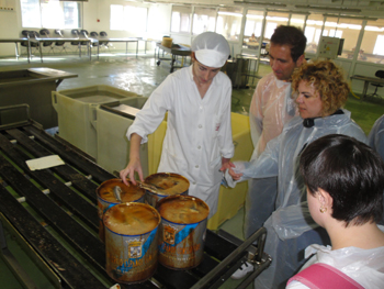 Visitamos todo el proceso de conserva de la anchoa.